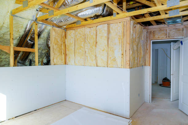 Best DIY Insulation Kits and Guidance in Williamston, NC