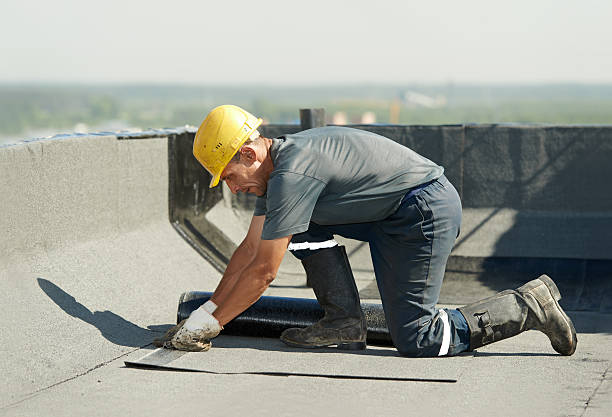 Best Spray Foam Insulation in Williamston, NC