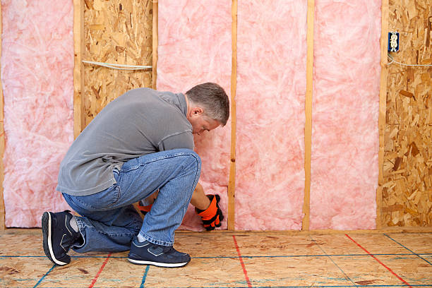 Best Eco-Friendly Insulation in Williamston, NC